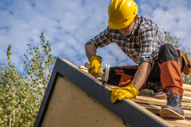 Best Skylight Installation and Repair  in Rome, NY